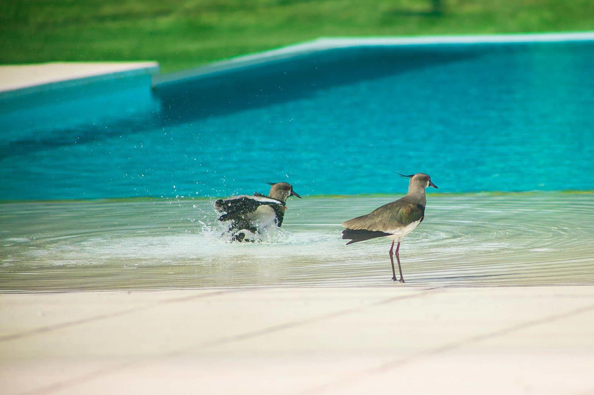 Amerian Villa Maria Park Hotel Luaran gambar